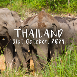 THAILAND TOUR: 02-November-2024