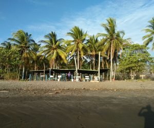 sfd-min